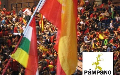 Retransmisión del Mundial de fútbol 2010 en el Palacio de los Deportes de La Rioja