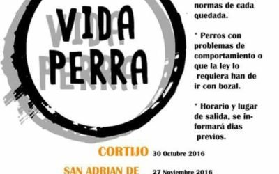 QUEDADAS DEL CLUB VIDA PERRA